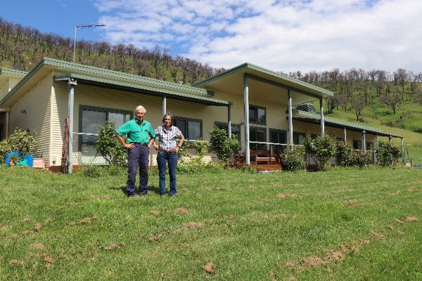 Fire preparations leave property a green oasis