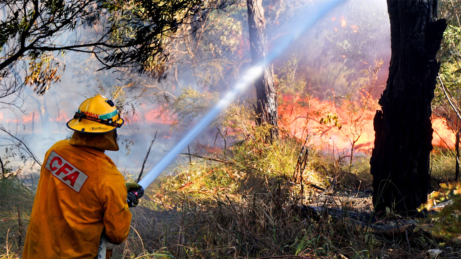 The Fire Danger Period will commence on November 11