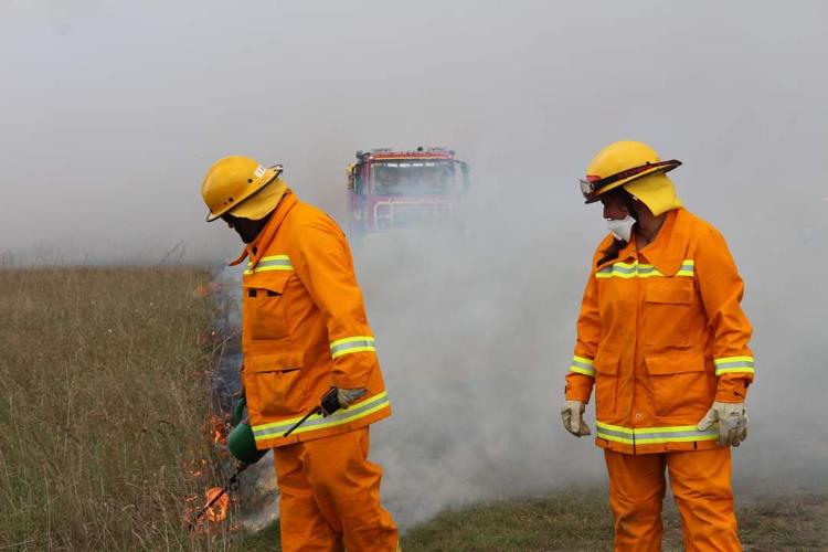 Ecological burn at West Sale Aerodrome