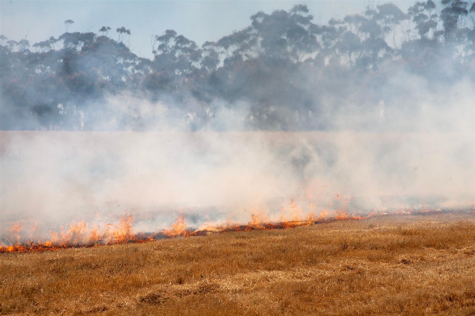 Restrictions are being extended in the Southwest and Northeast