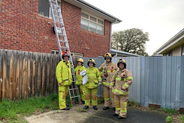 Magpie in a flap is rescued by CFA members