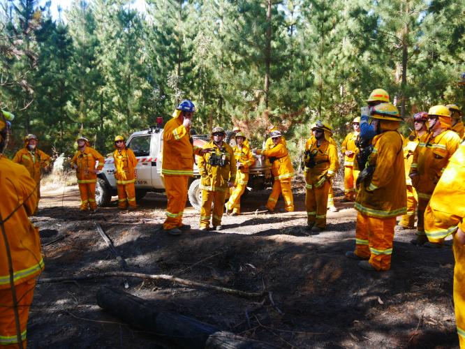 Planned burn training develops skills | CFA News & Media